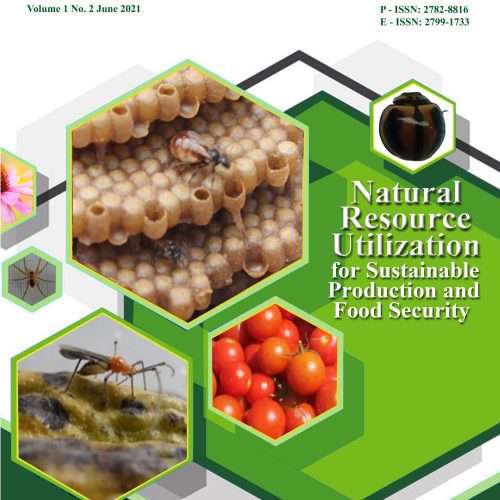 ACRIJ Vol 1 No 2 June 2021 (Cover)