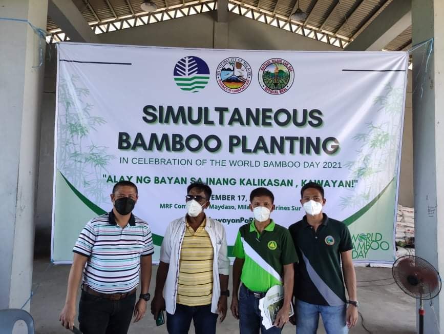 Simultaneous International World Bamboo Week