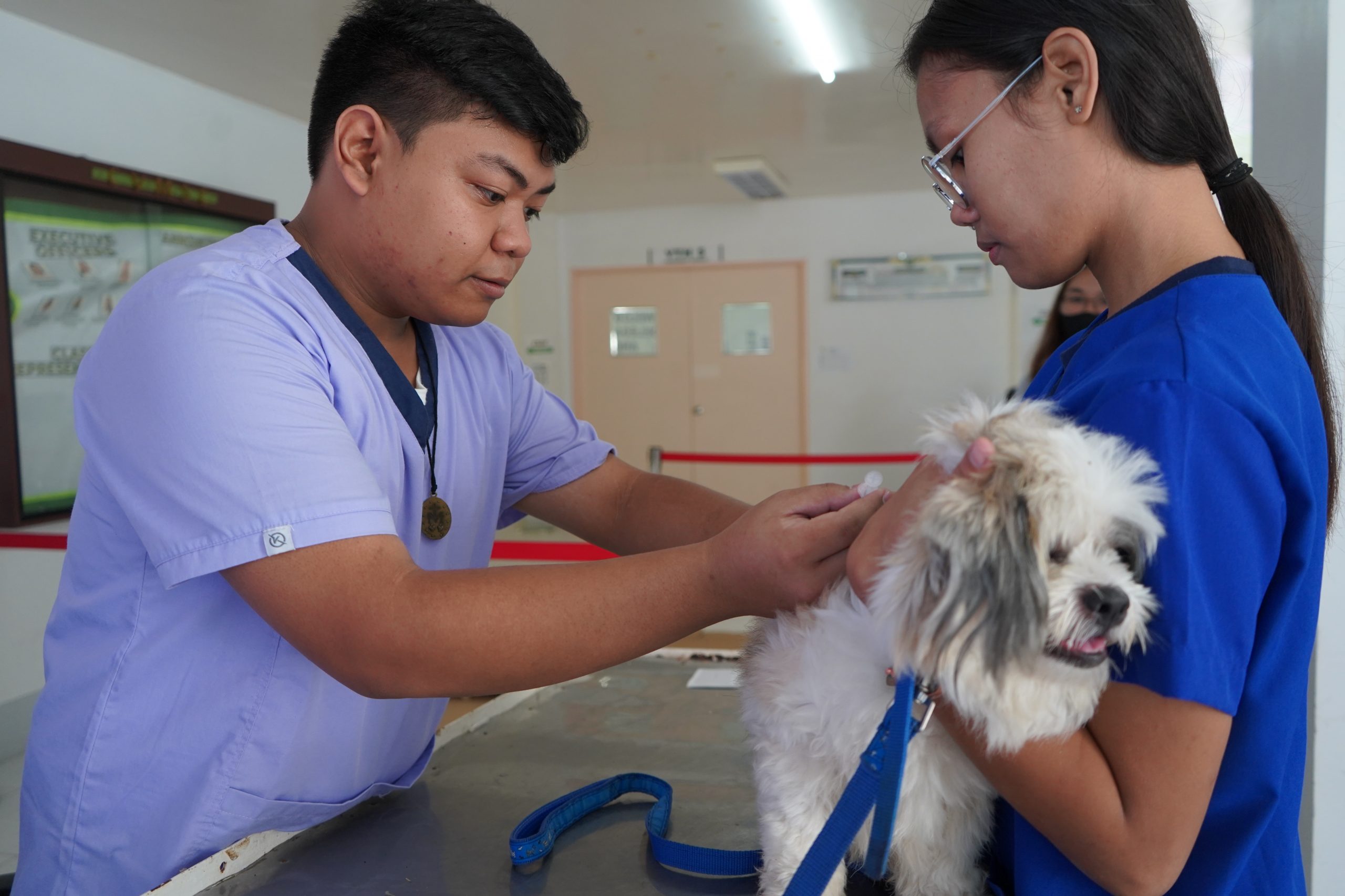 CVM EXTENDS VETERINARY SERVICES TO THE COMMUNITY